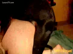 Fat whore acquires enjoyment from her dog 